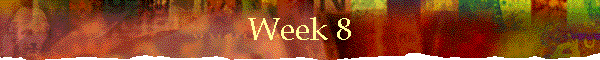 Week 8